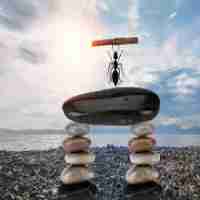 智​能﻿排﻿序﻿桌﻿面​设﻿置‌方‌法‍